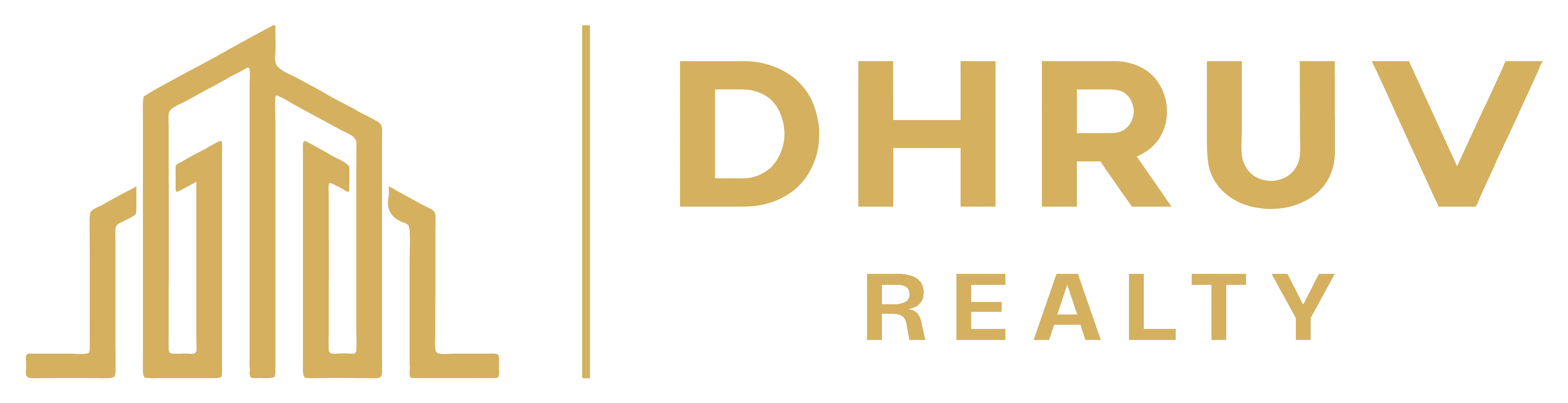 Dhruv Realty